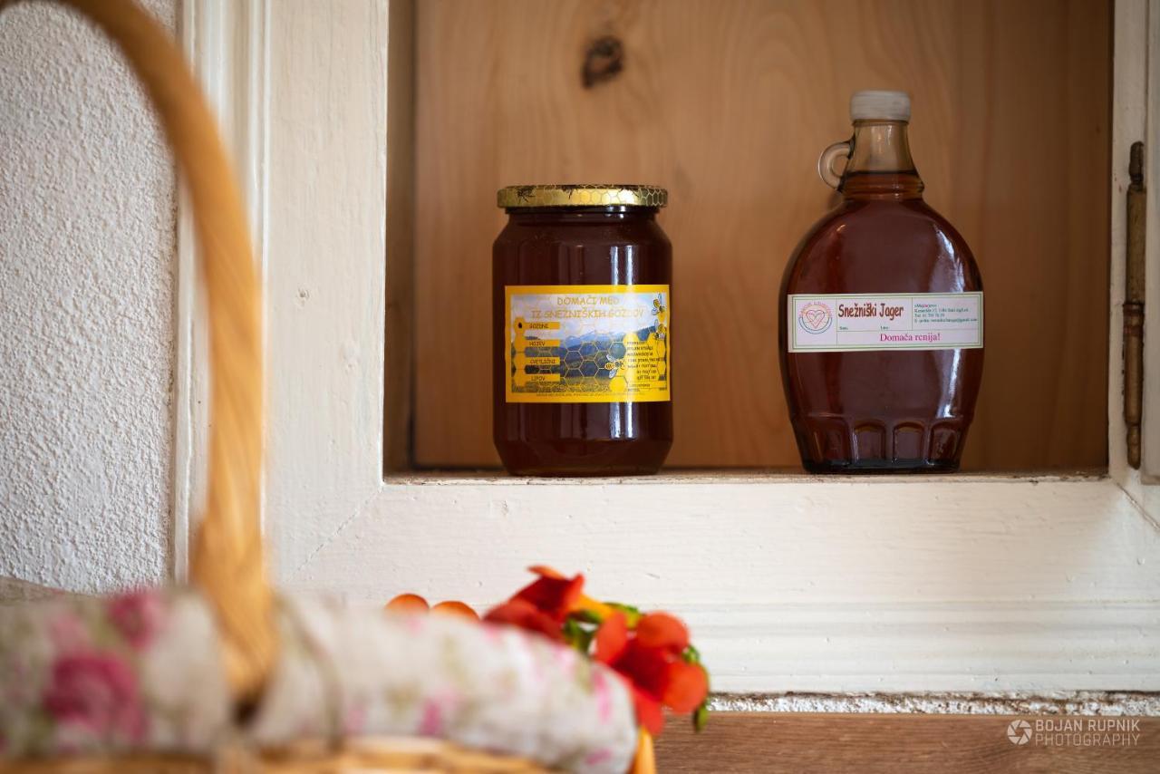Cherry House - Cosy House - Ideal For Bear Watching, In The Neighborhood Of The Medieval Sneznik Castle Stari Trg pri Lozu Екстериор снимка