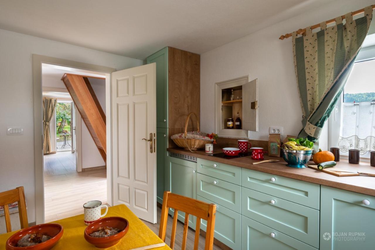 Cherry House - Cosy House - Ideal For Bear Watching, In The Neighborhood Of The Medieval Sneznik Castle Stari Trg pri Lozu Екстериор снимка