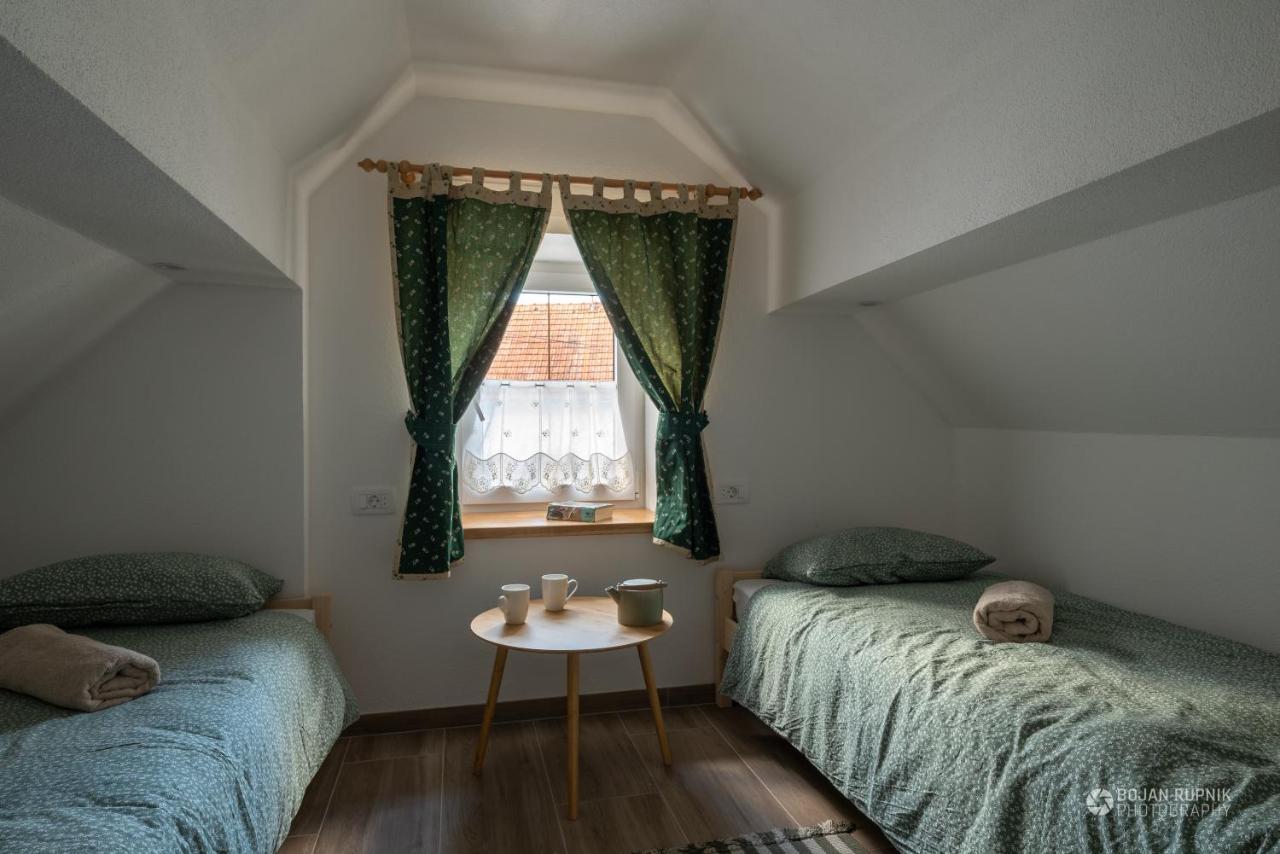 Cherry House - Cosy House - Ideal For Bear Watching, In The Neighborhood Of The Medieval Sneznik Castle Stari Trg pri Lozu Екстериор снимка