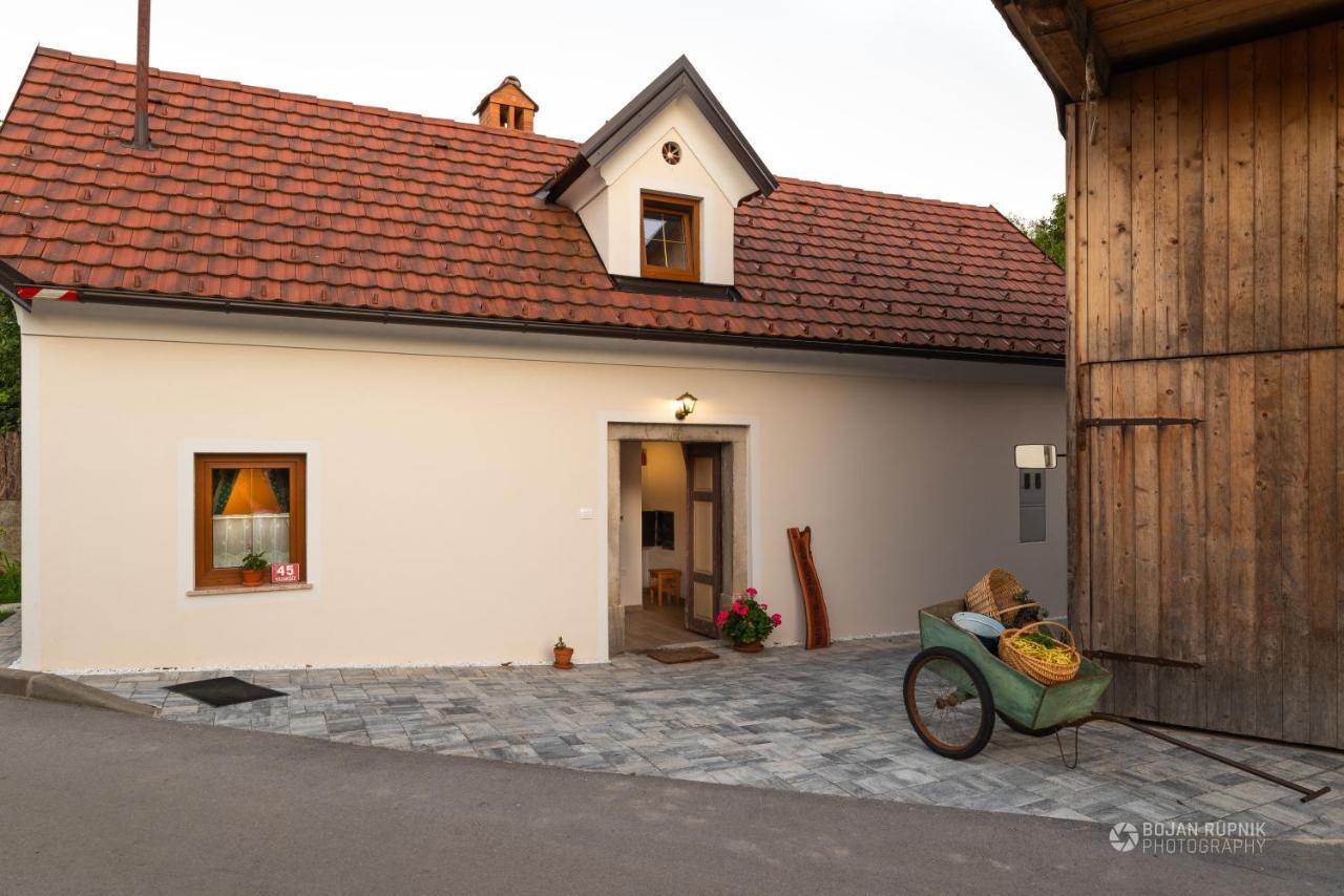 Cherry House - Cosy House - Ideal For Bear Watching, In The Neighborhood Of The Medieval Sneznik Castle Stari Trg pri Lozu Екстериор снимка