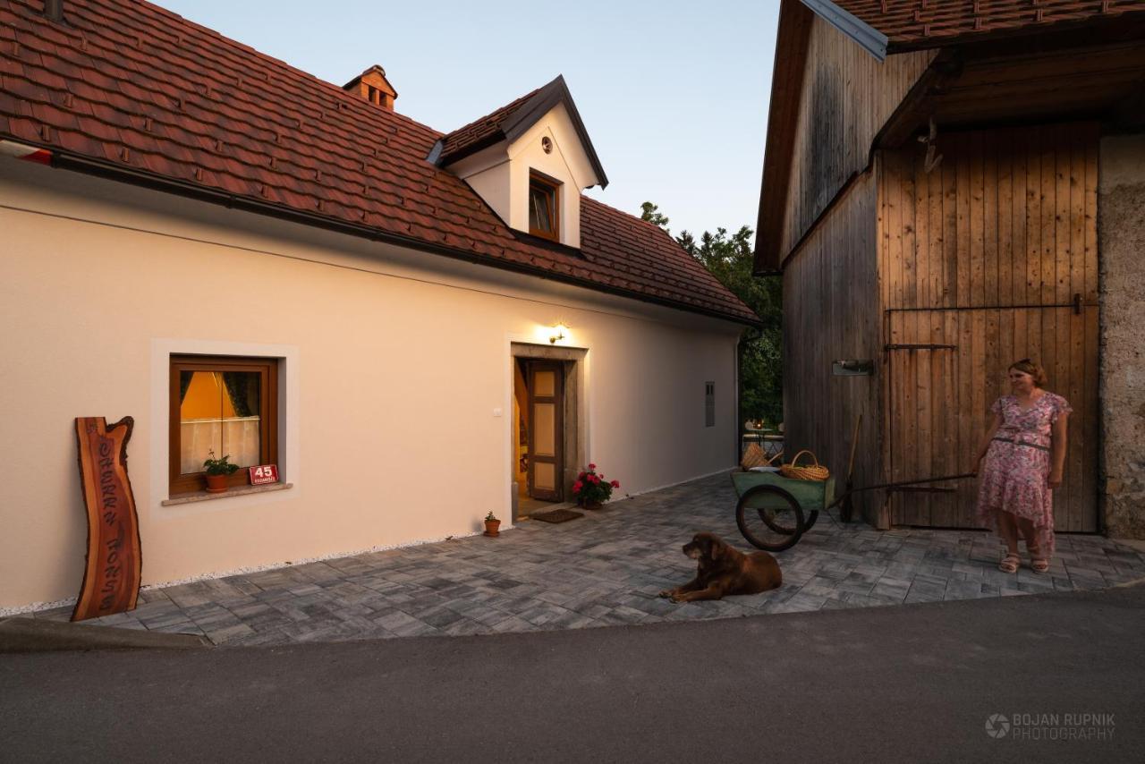 Cherry House - Cosy House - Ideal For Bear Watching, In The Neighborhood Of The Medieval Sneznik Castle Stari Trg pri Lozu Екстериор снимка