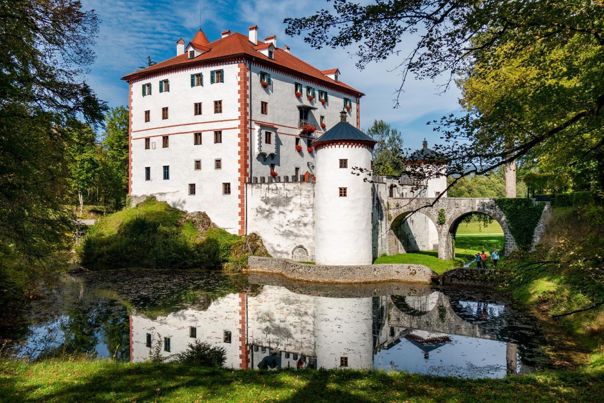 Cherry House - Cosy House - Ideal For Bear Watching, In The Neighborhood Of The Medieval Sneznik Castle Stari Trg pri Lozu Екстериор снимка